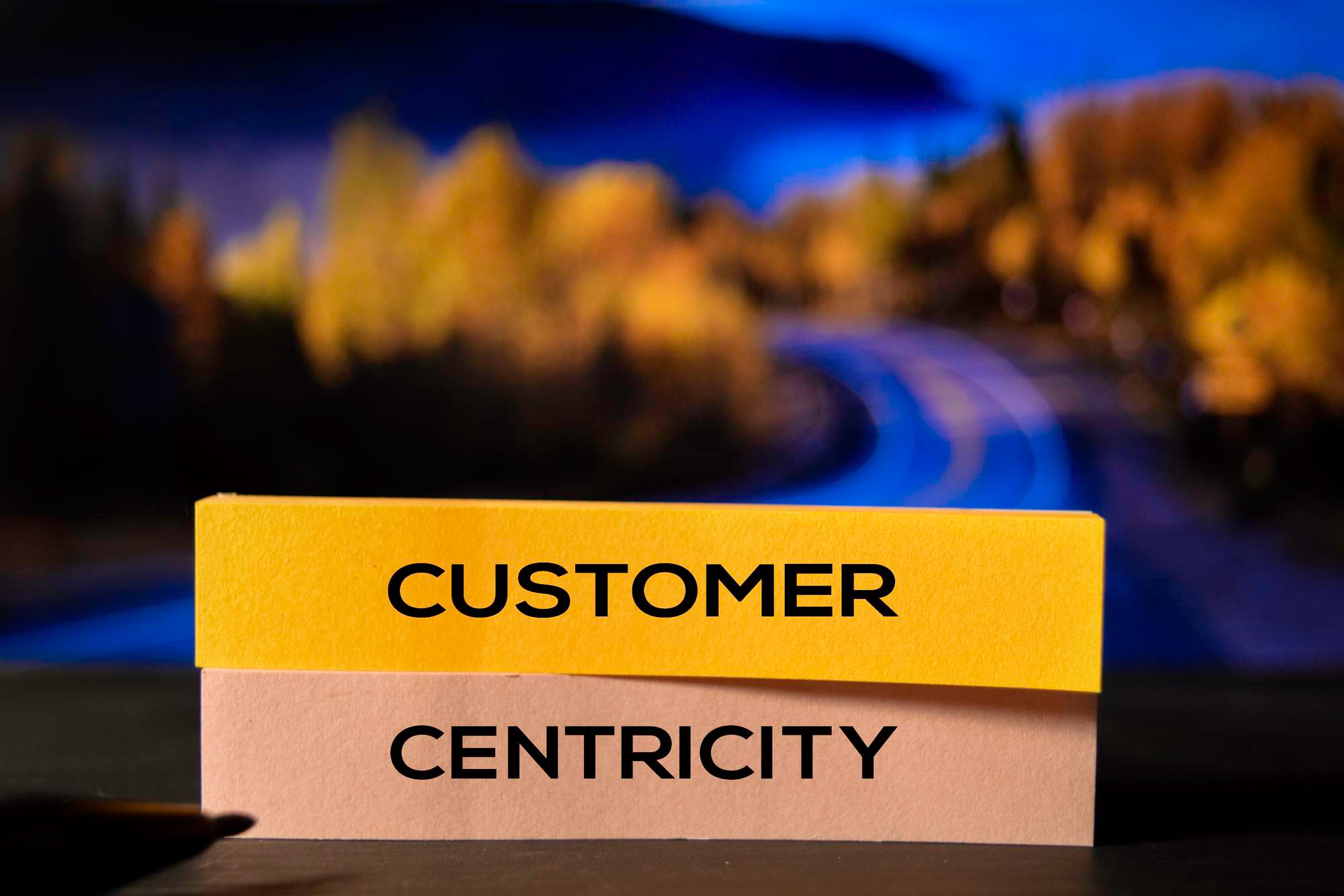 Client-Centric Systems: A Blueprint for Business Success
